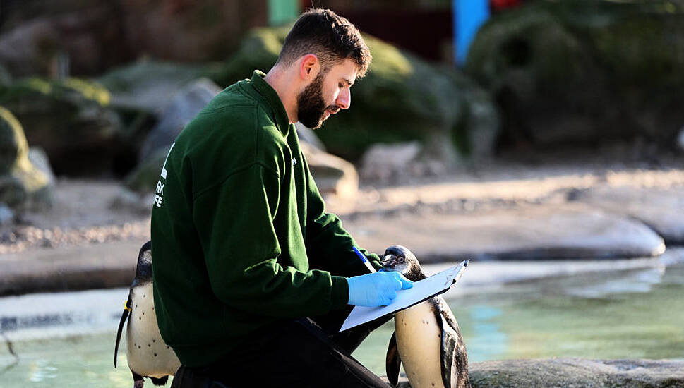 London Zoo Begins Week-Long Annual Stocktake Counting More Than 10,000 Animals