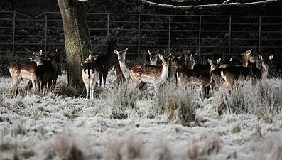 Met Éireann Warn Of &#039;Multi-Hazard Weather Event&#039; Over The Weekend