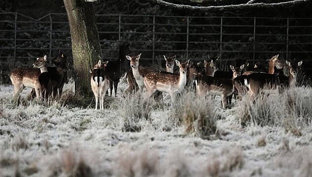 Met Éireann Warn Of 'Multi-Hazard Weather Event' Over The Weekend