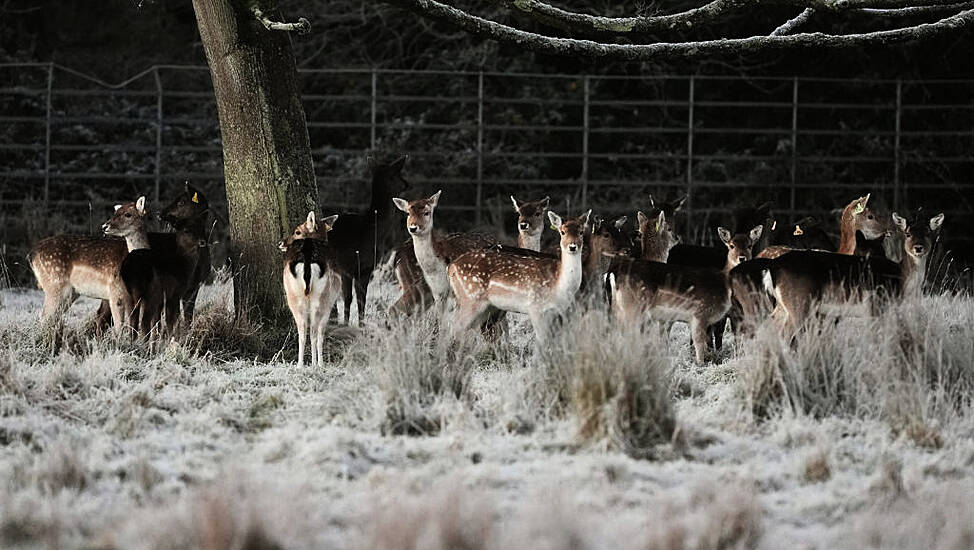 Emergency Team Meeting As Country Braces For ‘Multi-Hazard Weather Event’