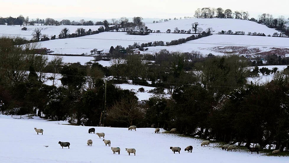 Cold Snap Latest: 6,500 Homes And Businesses Head Into Fourth Day Without Power