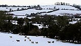 Cold Snap Latest: Taoiseach Warns Of 'Dangerous' Conditions As Temperatures Plummet