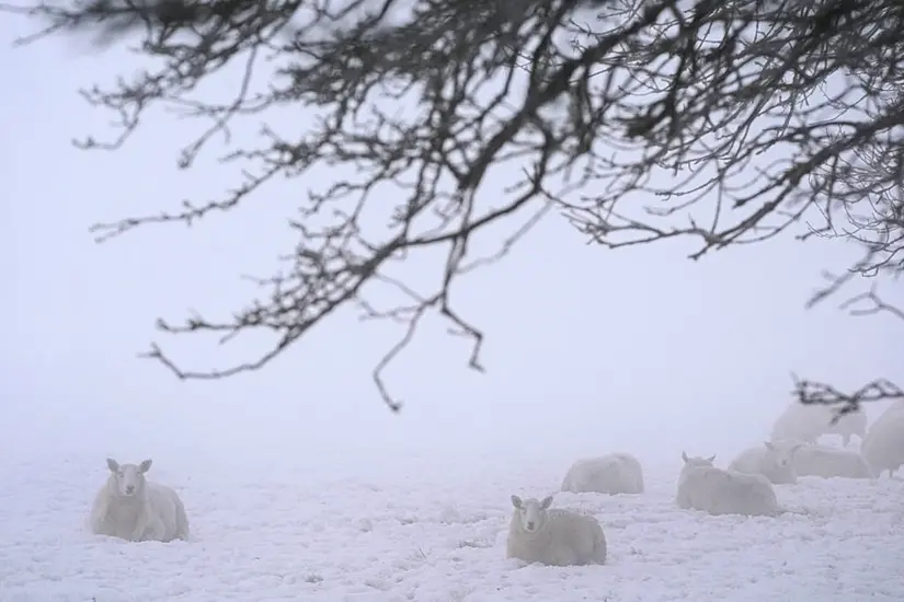 End Of Cold Snap ‘In Sight’ As Orange Weather Warning Comes Into Effect In 15 Counties