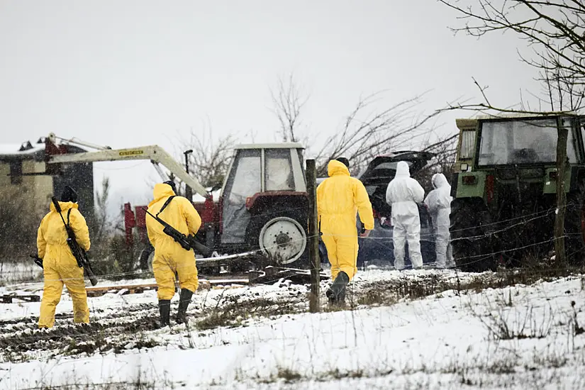 Animal Transports Banned In German Region After Foot And Mouth Disease Detected