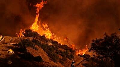 Mantan Bintang Cilik Penderita Cerebral Palsy Meninggal 'Tidak Perlu' Di La Fires, Kata Ibu