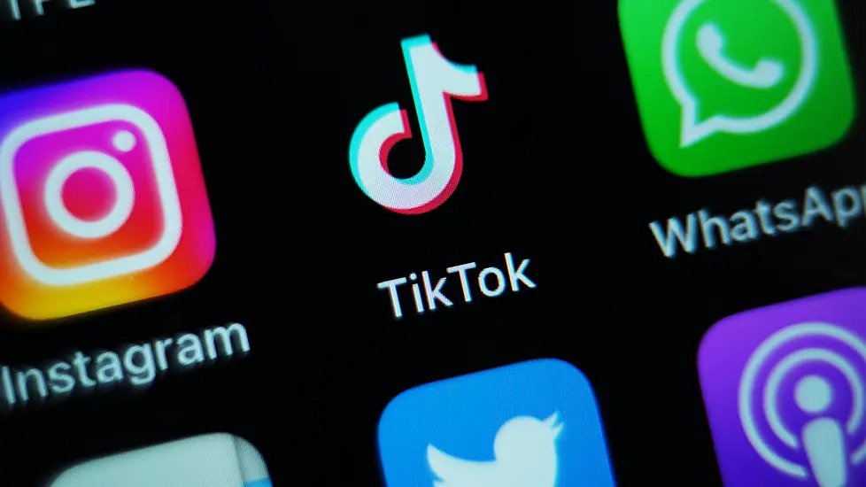 Tiktok Says Reports Of Possible Sale To Elon Musk Are ‘Pure Fiction’