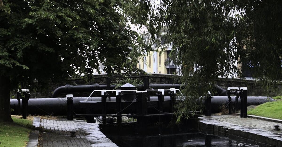 Council Cleans Dublin’s Viral ‘Cherry Tomato Bridge’ to Prevent Food Waste