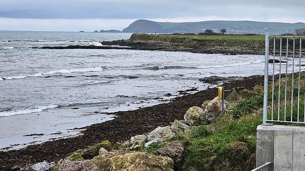 Dead Whale Washed Ashore On Rocks In Waterford