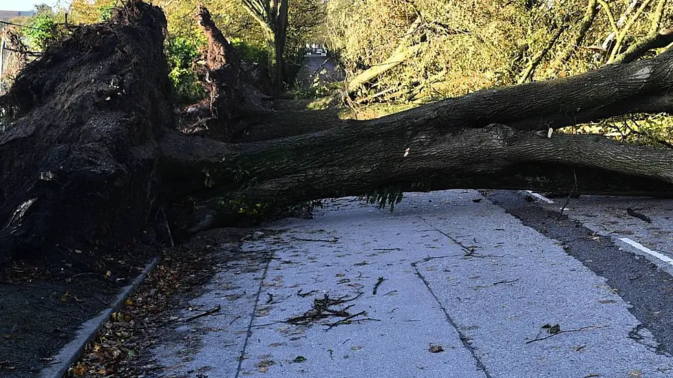 Storm Éowyn: Maximum Gusts Of 130Km/H Recorded In Co Cork Overnight