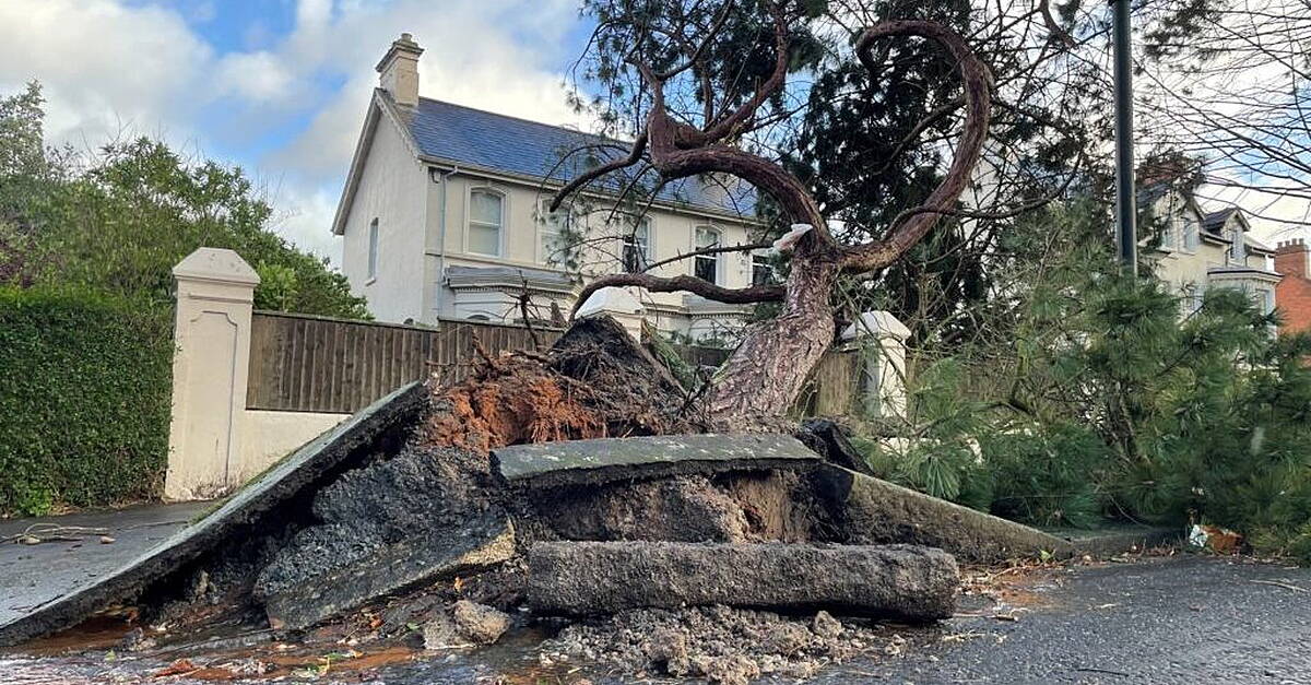 More than 240,000 without power in NI after Storm Éowyn batters region