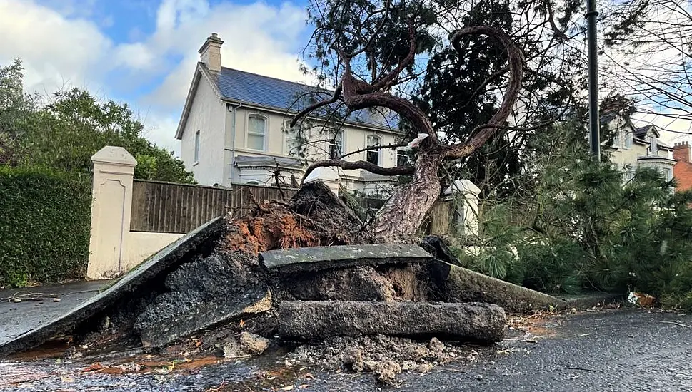 More Than 240,000 Without Power In Ni After Storm Éowyn Batters Region