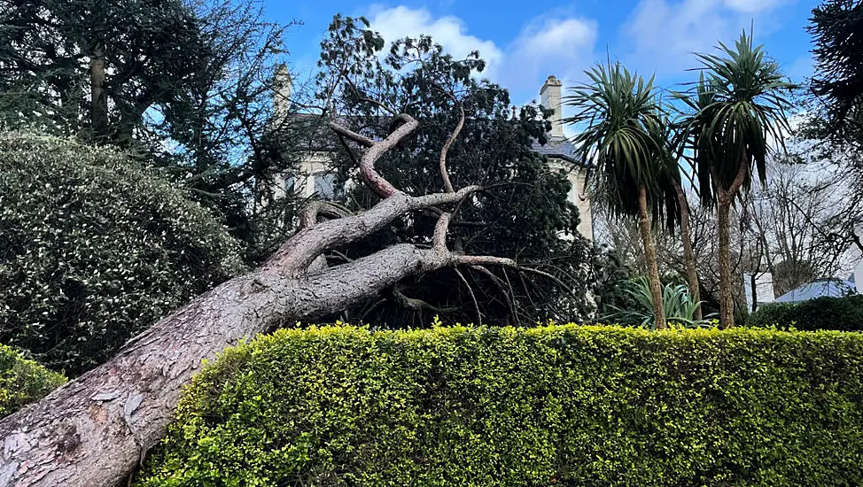 It Will Take Days To Assess All Storm Éowyn Damage In Northern Ireland, Say Police