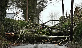 'Absolutely No Need For Red Warning': Met Éireann Received Complaints Over Storm Éowyn Forecast