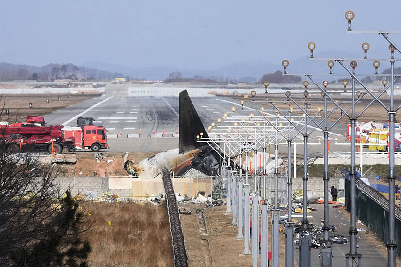 South Korean Plane Crash Report Says Bird Remains Found In Engines