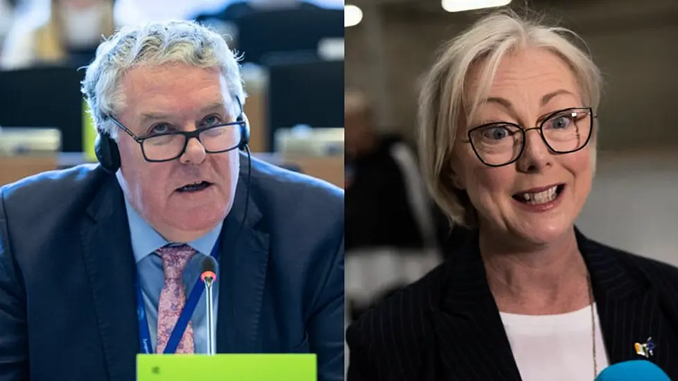 Two Irish Meps Appointed As Deputies Of Eu Committee On Housing Crisis