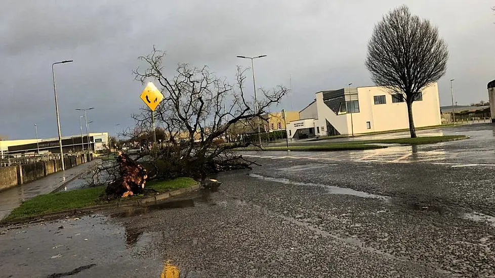 Christina Mchugh: As Storm Éowyn Swept In, I Prayed That The Roof Would Remain On The House