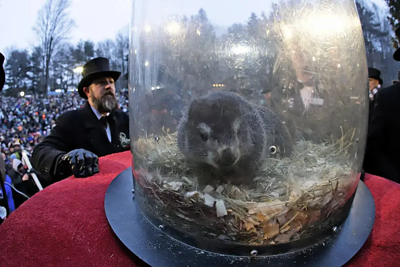 Punxsutawney Phil Sees His Shadow, Meaning Six More Weeks Of Wintry Weather