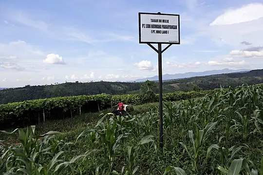 Indonesia Orders Halt Of Trump-Linked Tourism Projects Over Environmental Issues