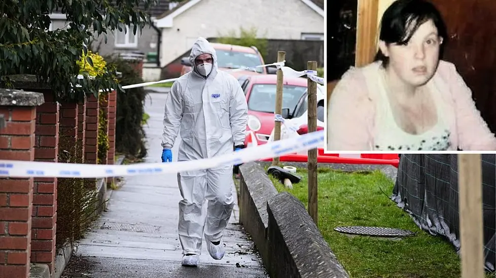 Elizabeth Clarke Murder Probe: Search For Missing Meath Mother Continues