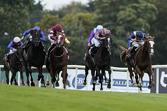 Up To 1,000 Social And Affordable Homes Set For Leopardstown Racecourse