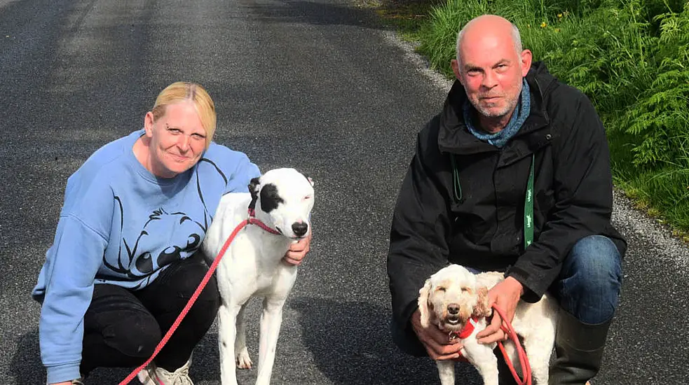 Couple Set Up Dog Rescue On Site Of Where They Planned To Build Their Dream Home