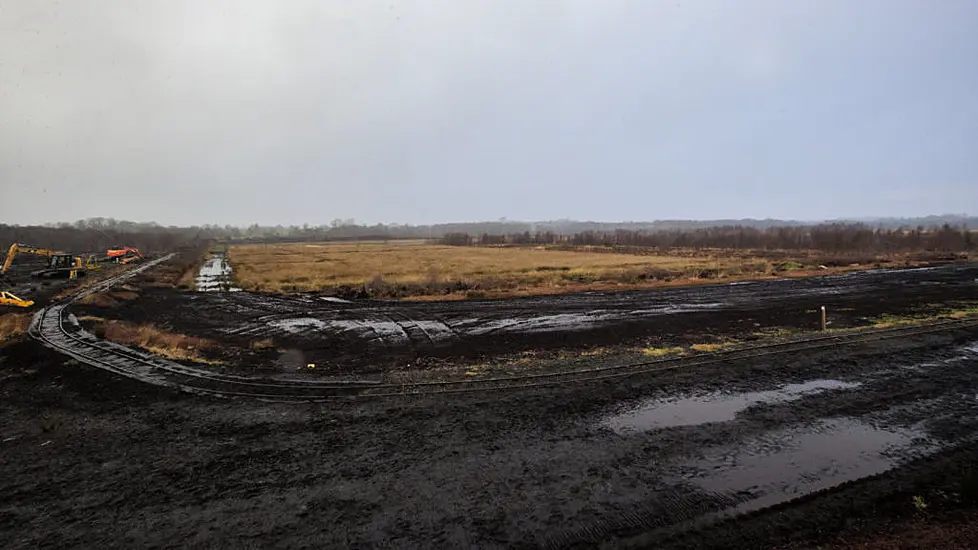 Ancient Remains Discovered In Derry Bog ‘Likely To Belong To Young Woman’