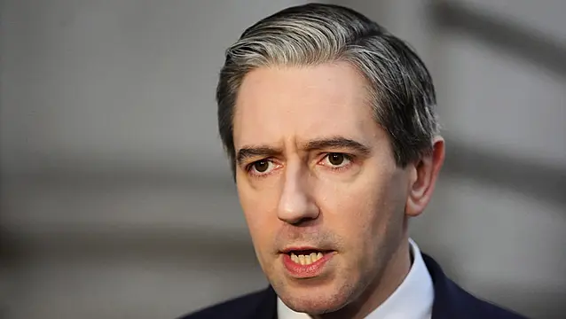 Tánaiste Warns Of 'Significant Period Of Turbulence' Over Us-Eu Trade War