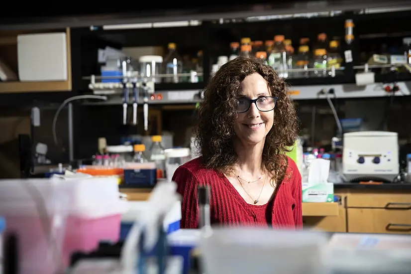 Us Biochemist Researching Hiv And Coronaviruses Wins Israel’s Wolf Prize