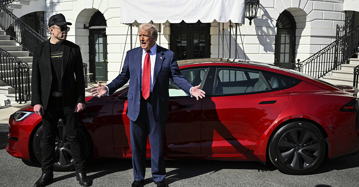 Trump selects a new Tesla on White House drive to show support for Elon Musk