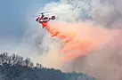 At Least 16 Dead And 19 Hurt As Wildfires Ravage South Korea’s Southern Regions