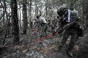 Rain And Cool Weather Help South Korean Fire Crews Battle Devastating Wildfires