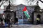 14 Arrested At Protest Against Israel’s War In Gaza After Leinster House Blocked
