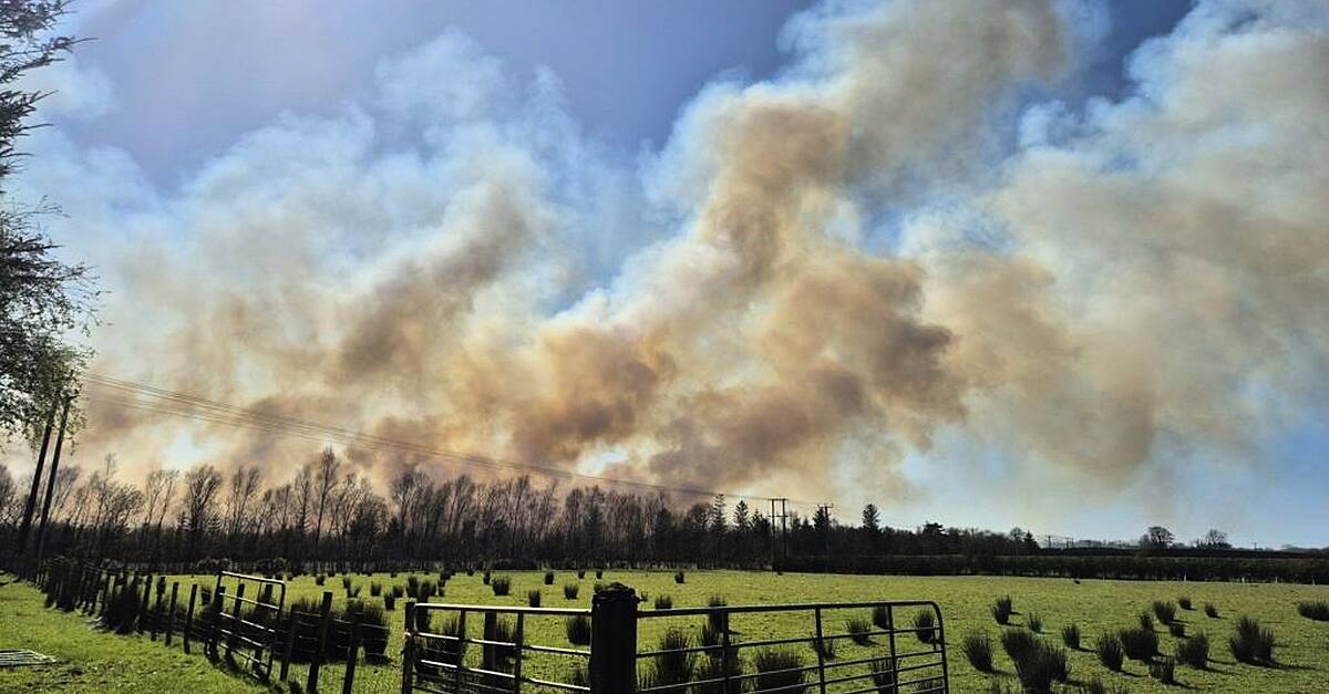 Firefighters have tackled almost 150 wildfires in Northern Ireland across