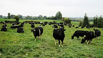 Public Underestimate How Worried Farmers Are About Climate Change, Report Reveals