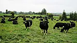 Public Underestimate How Worried Farmers Are About Climate Change, Report Reveals