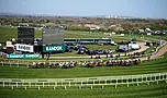 Horse That Collapsed After Grand National Dies