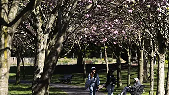Weekend Weather: Mix Of Sunshine And Showers As Met Éireann Forecasts Change Next Week