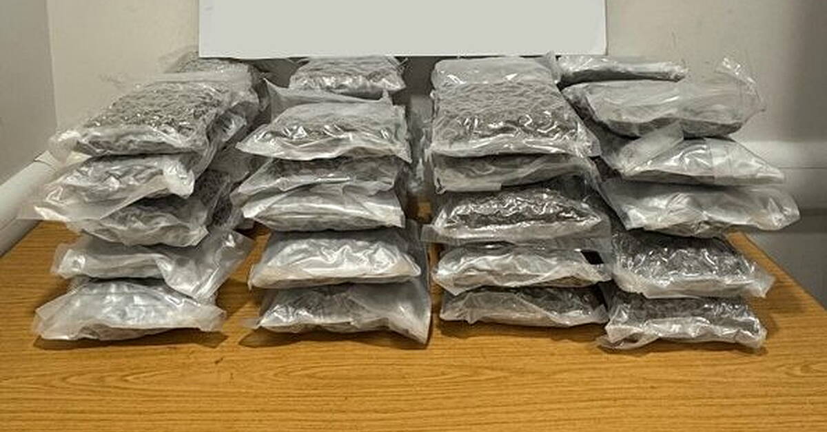 Man (20s) arrested after 22.3kg cannabis seized at Dublin Airport