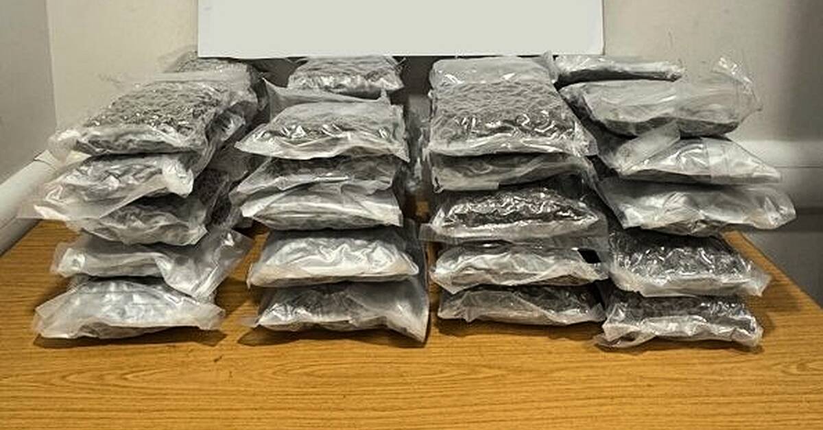 Човек (20 -те), арестуван след 22,3 кг канабис, иззет на летище в Дъблин 