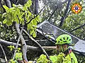 Cable Car Accident In Southern Italy Kills At Least Four People