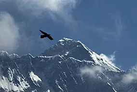 Famed Sherpa Guide Attempts To Climb Mount Everest For 31St Time