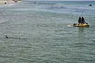 Israeli Police Scour Mediterranean For Swimmer Feared Attacked By Shark