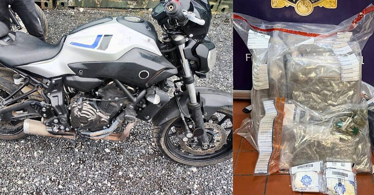 Cannabis cocaine ecstasy and a stolen motorbike have been seized