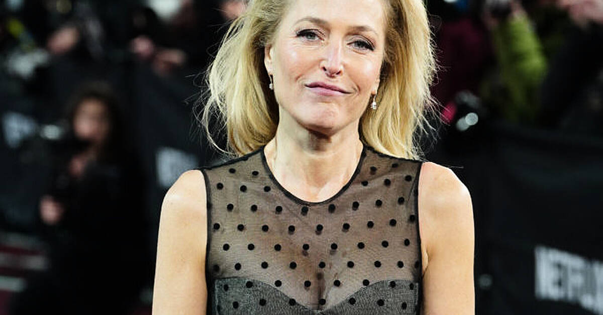 Gillian Anderson has announced a follow up to her 2024