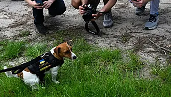 Bosnian Centre Trains Dogs For Ukrainian Demining Efforts