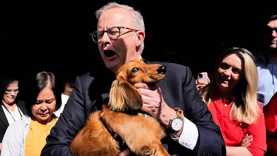 What You Need To Know About Australia's Upcoming Election