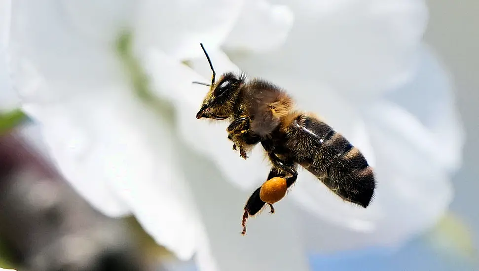 April Was Third-Warmest On Record Since 1900 – Met Éireann