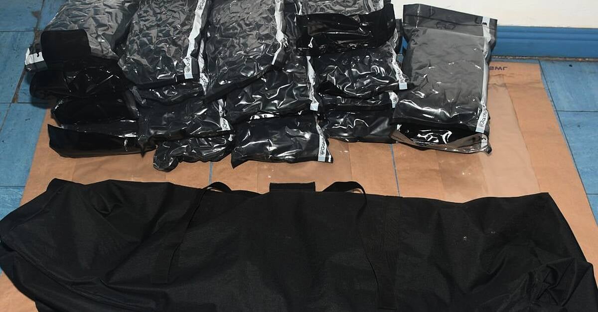Gardaí arrest three men after drugs and firearms ammunition seized in Limerick