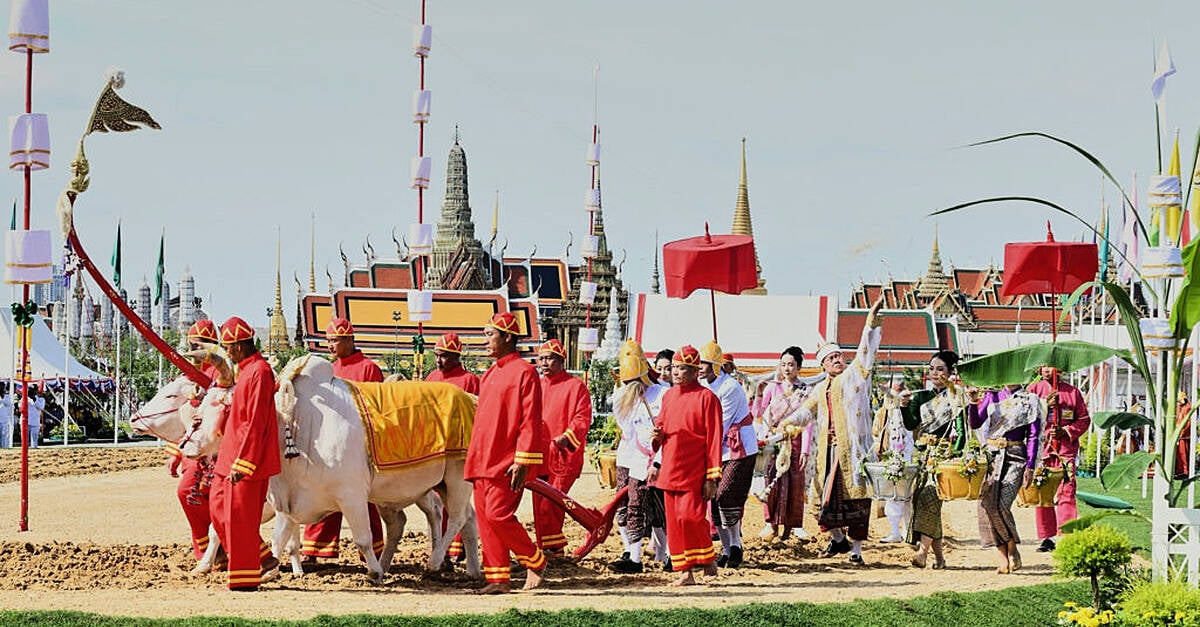 Royal Ritual в столицата на Тайланд прогнозира добра година за фермерите 