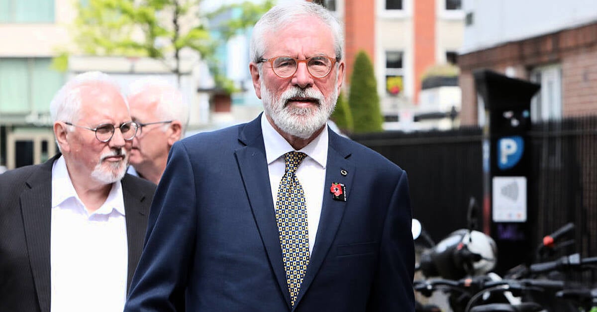An expert witness has said a BBC programme at the